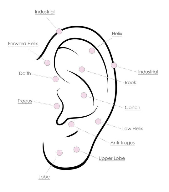 Ear Piercings | FreshTrends