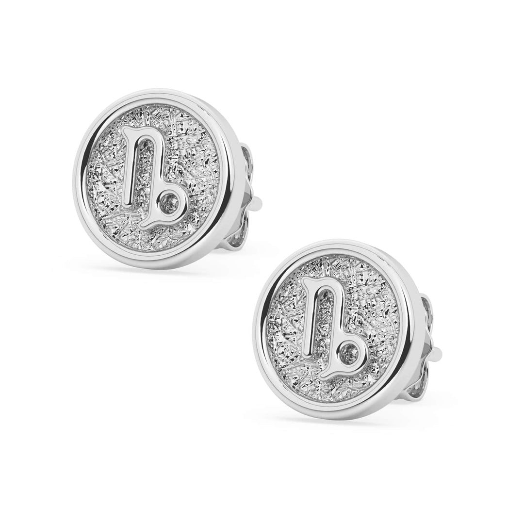 Capricorn Zodiac Earring